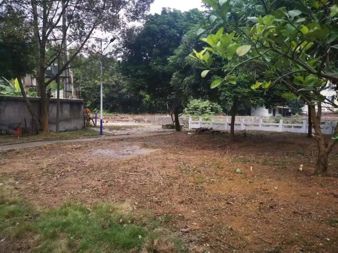 IMG_9441(20221212-005404).JPG 圖片