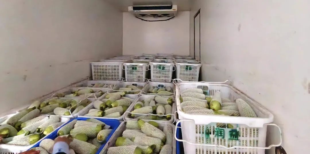 微信圖片_20220317112453 微信圖片_20220317112453